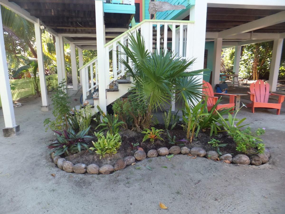 The Bottle Tree House Villa Caye Caulker Exterior photo