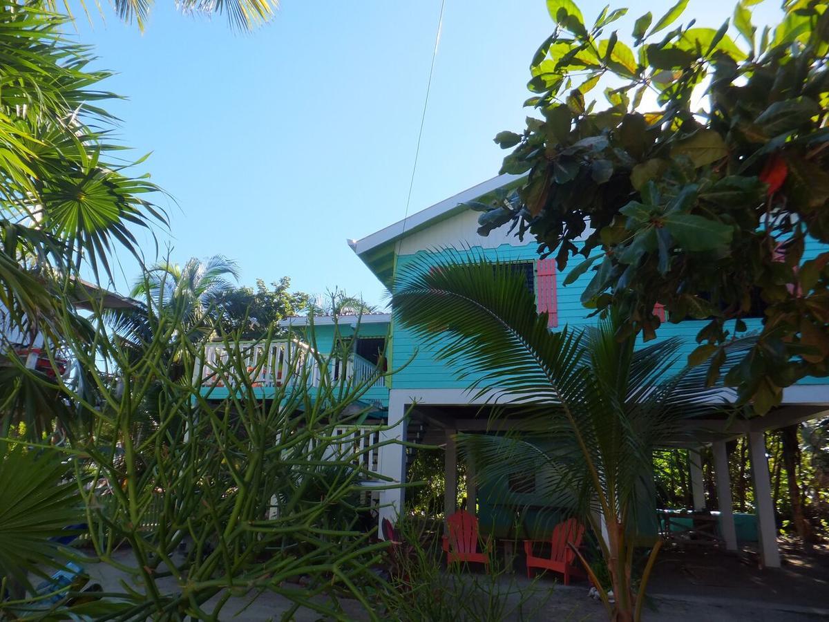 The Bottle Tree House Villa Caye Caulker Exterior photo